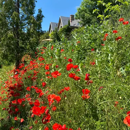 De Campagne Avec Vue Sur La Foret. * Saint-Pierre-Aigle
