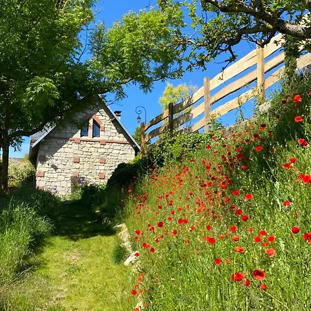 De Campagne Avec Vue Sur La Foret. Saint-Pierre-Aigle